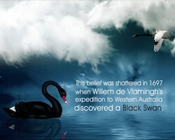 Black Swan - Motion Graphics